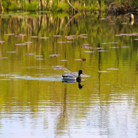 In With Access Сasa de vacaciones